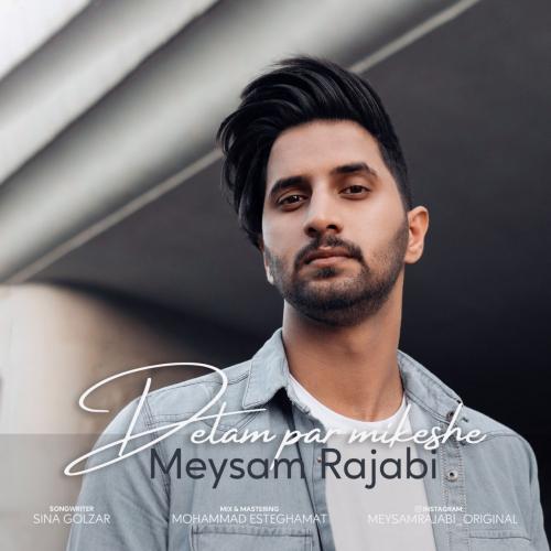 دانلود آهنگ دلم پر میکشه